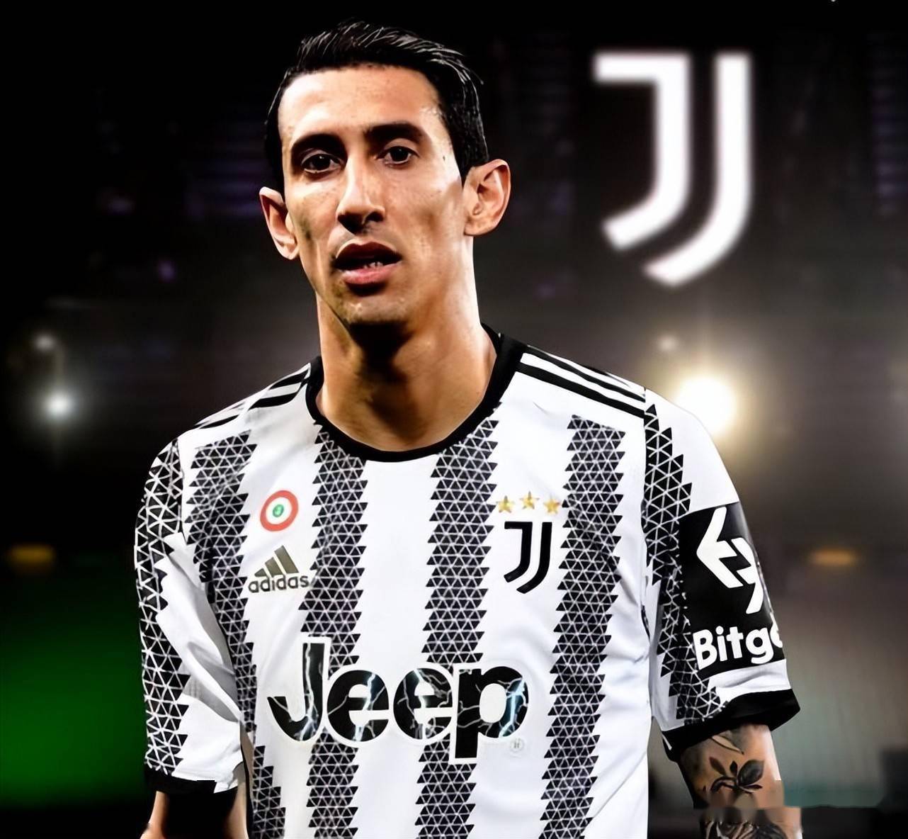 它不仅是在 它不仅是在